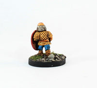 PTD DH8-02 Dwarf Shield Wall