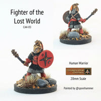 CA4-05 Fighter of the lost world