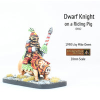 DH12 Dwarf Knight on riding pig