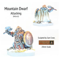 DH16-02 Mountain Dwarf in armour and helm attacking