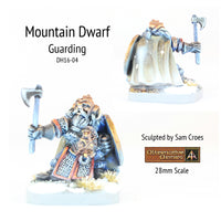 DH16-04 Mountain Dwarf in armour and helm guarding