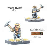 DH1-01 Young Armoured Dwarf with Hammer