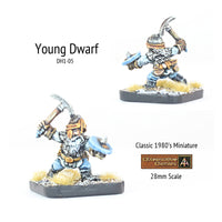 DH1-05 Young Armoured Dwarf with Pickaxe and Shield