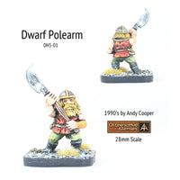 DH5-01 Dwarf with Polearm in leather jerkin